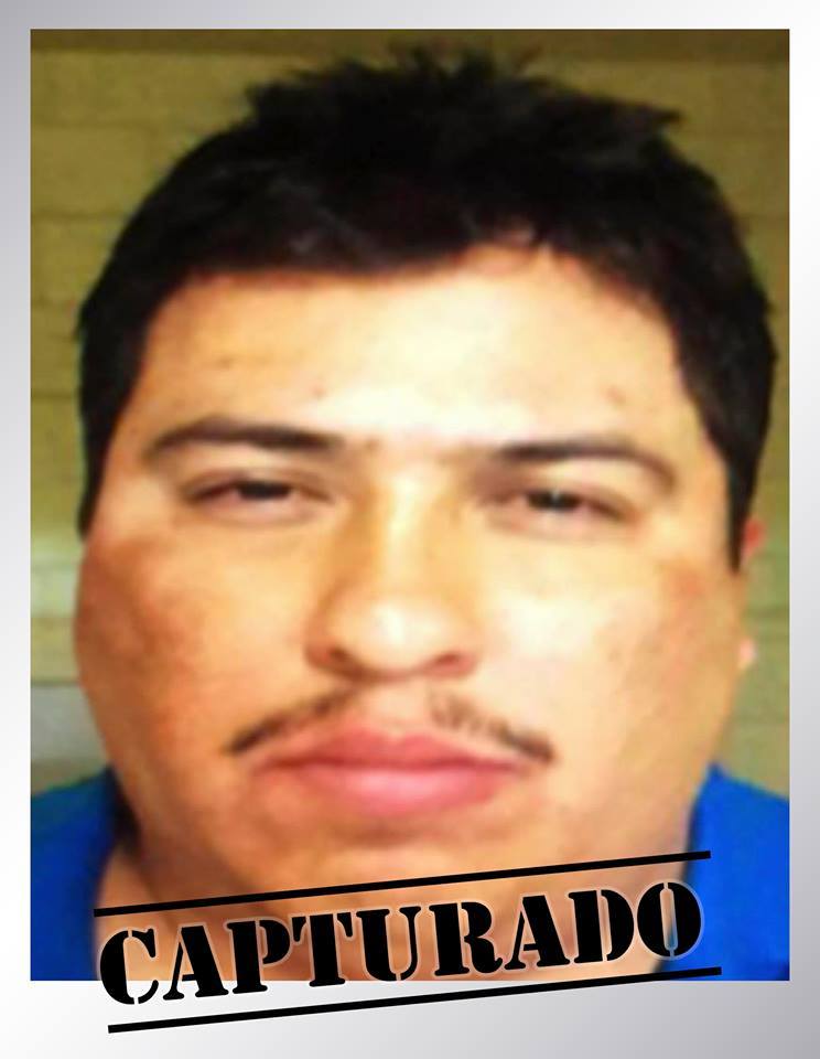 Fue detenido peligroso narcotraficante que operaba en áreas de Tecate