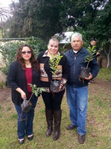 Dirección de Ecología de Tecate dona mil árboles para reforestar las delegaciones municipales