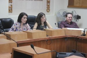 Presentan avances de la Línea Morada ante la Comisión de Agua y Energía