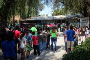 Inician cursos verano 2017