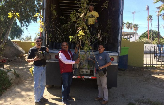 Imdete inicia segunda etapa de campaña de reforestación