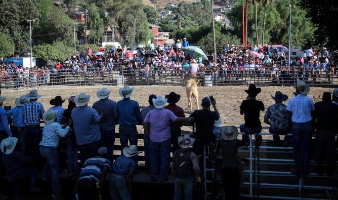 Este Sábado y Domingo Gran Rodeo y Exhibición de Charros en la Feria Tecate en Marcha