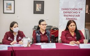 Instalan Primer Comité de Bienestar Animal en Baja California