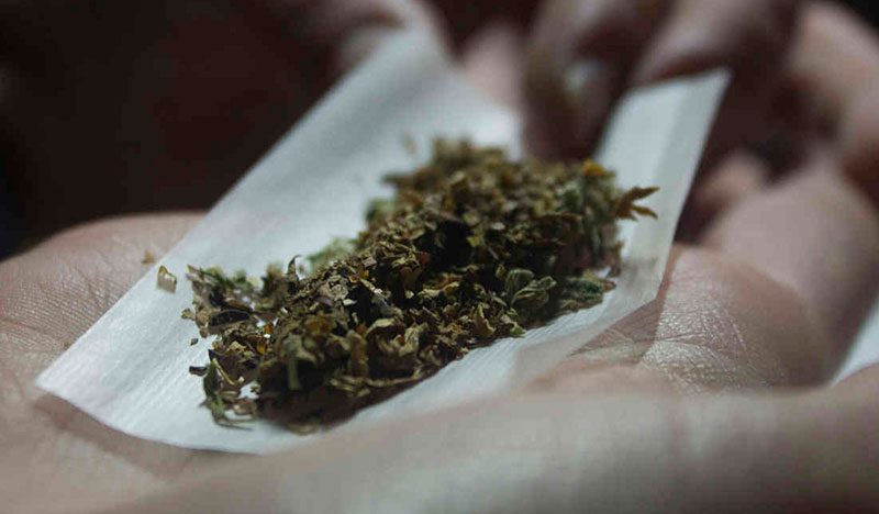 Aprueba Senado uso medicinal de marihuana