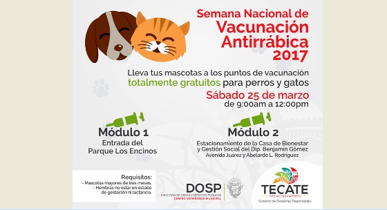 Arranca Semana Nacional de Vacunación Antirrábica en Tecate