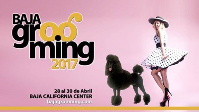 Confirmados estilistas caninos internacionales en el “Baja Grooming 2017”