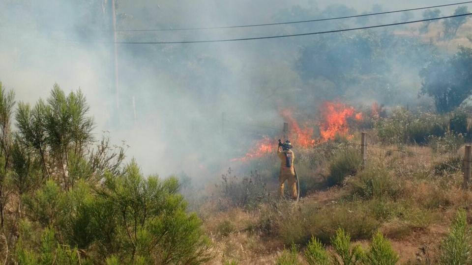 Incendio consume más de 35 hectáreas al Sur de Tecate