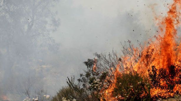 Torre de vigilancia en Tecate detectará incendios forestales