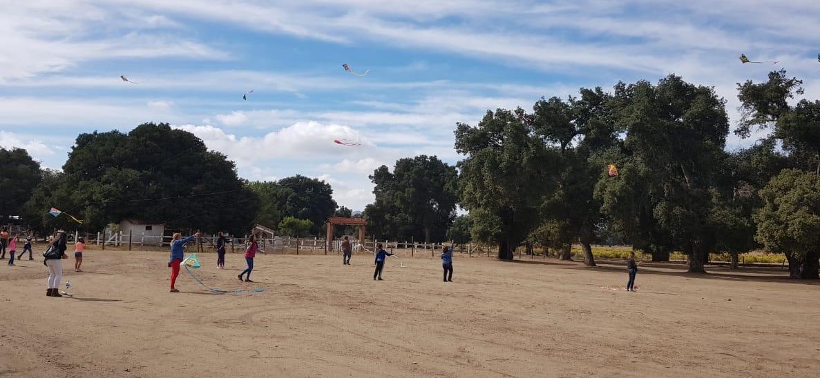 Realizan en la Ruta del Viento, Primer Festival del Papalote