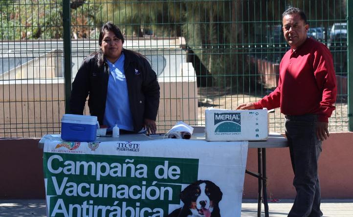 Aplicaron vacunas antirrábicas a mascotas en Tecate