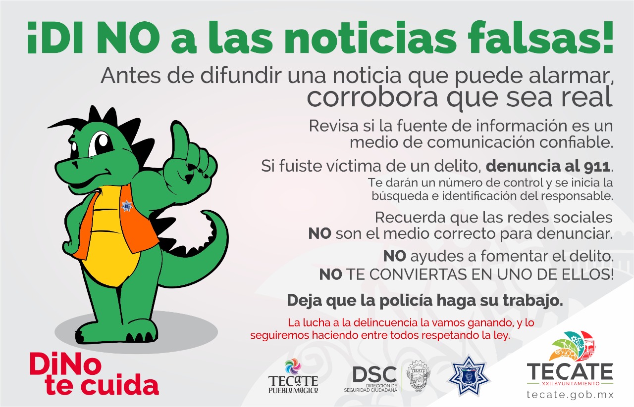 DiNo a las Noticias Falsas en Internet 