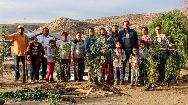 Gobierno de Tecate recupera espacios públicos y promueve campaña de reforestación