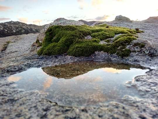 Lluvias acumuladas alcanzaron hasta 16 milímetros en zonas de Baja California