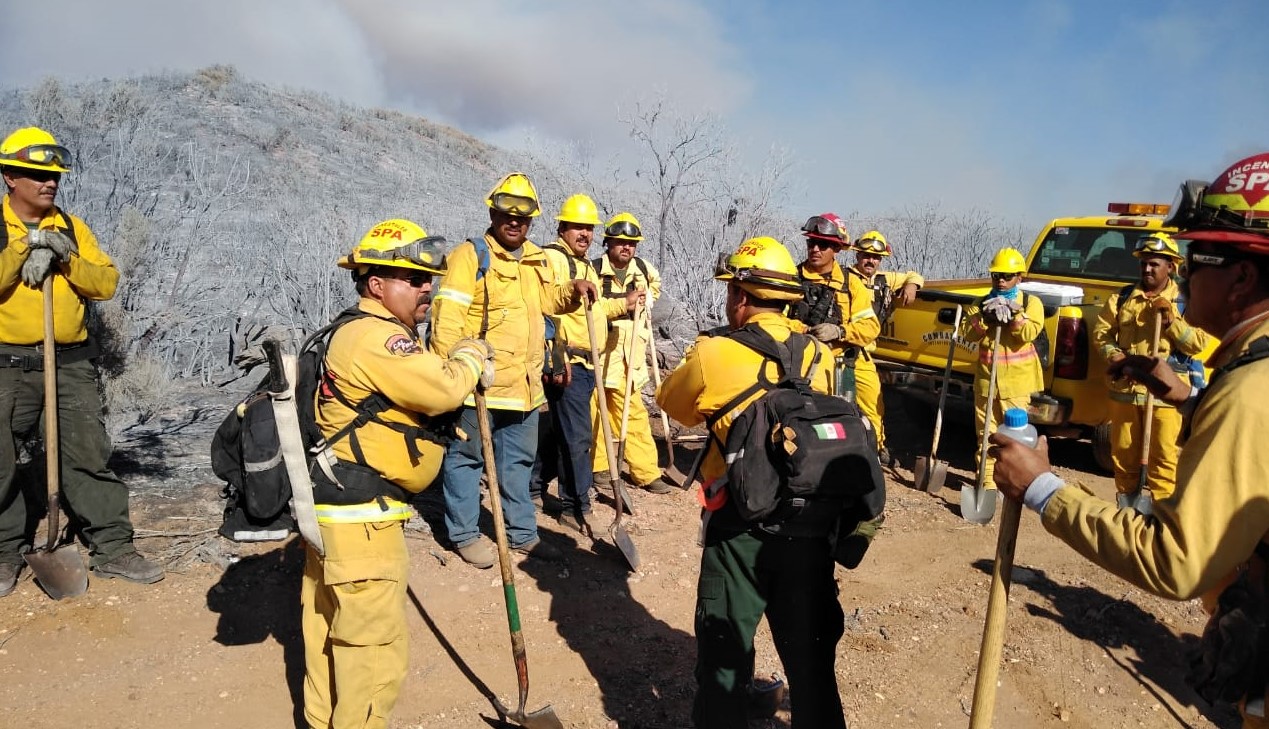 Participa Gobierno del Estado en el combate de incendio forestal en Valle de los Pinos en Tecate