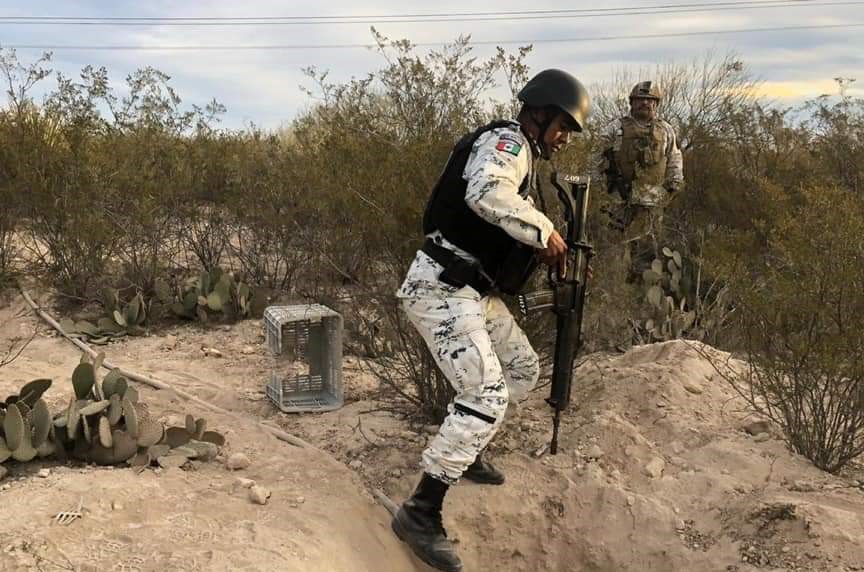 Localizan 5 plantíos de marihuana por Santa Mónica, en el municipio de Tecate