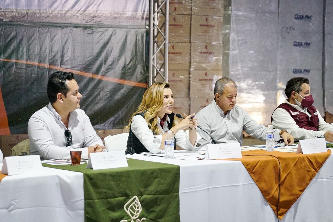 HOGARES DIGNOS EN BAJA CALIFORNIA: MARINA DEL PILAR