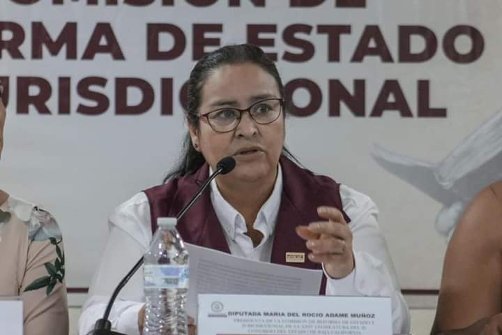 “Cargos de elección popular son irrenunciables”: Diputada Rocío Adame