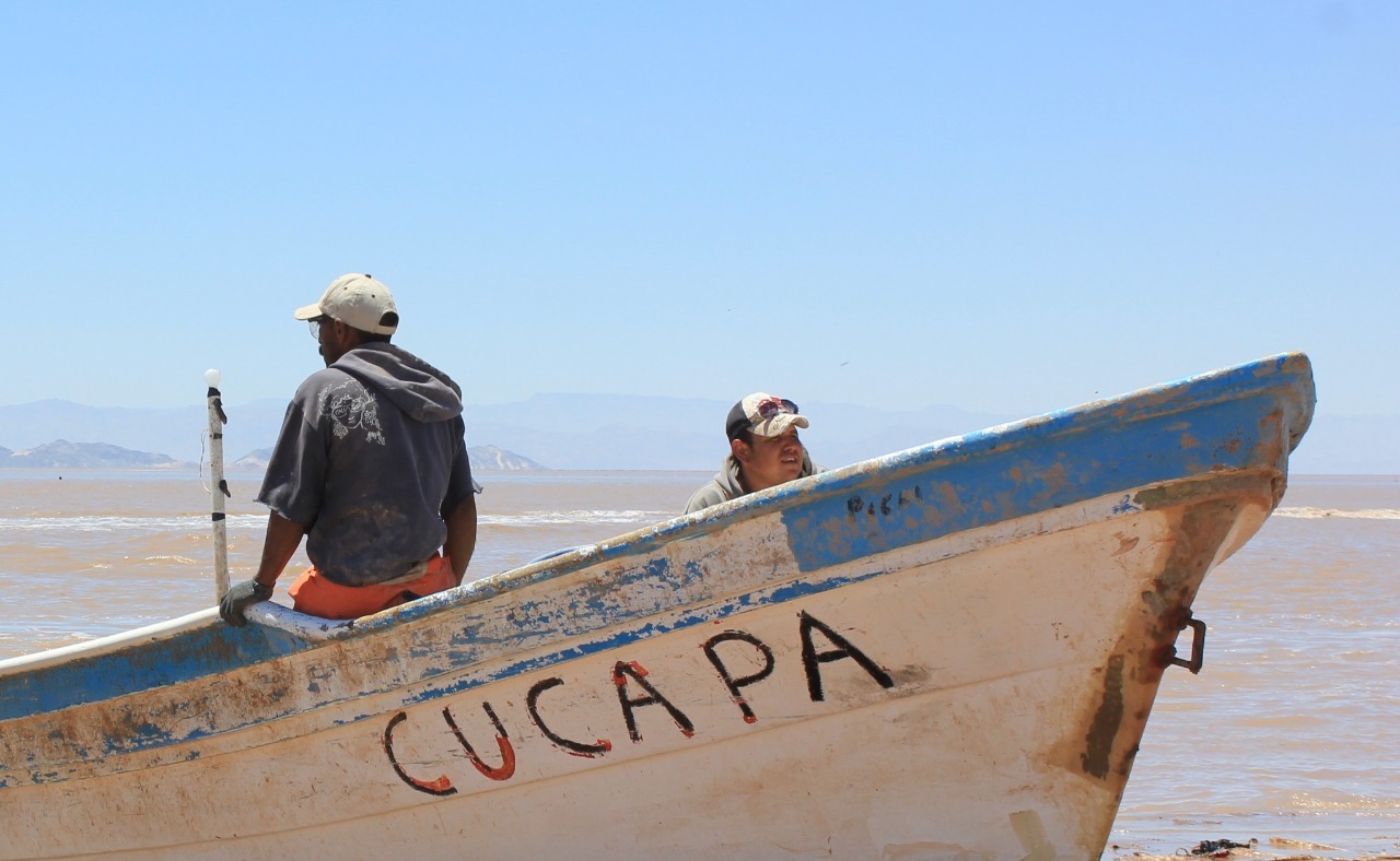 Invertirán millones de pesos para crear camino a campo pesquero Cucapá