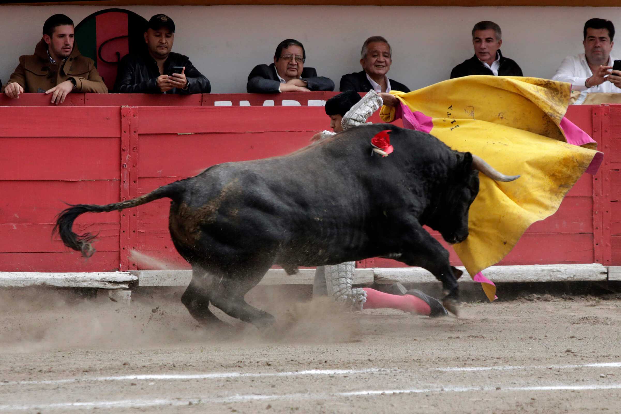 Proponen no utilizar objetos cortantes en corridas de toros de la CDMX