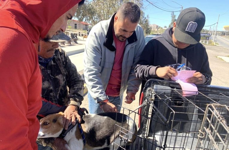 Realizarán jornada antirrábica en Mi Ranchito