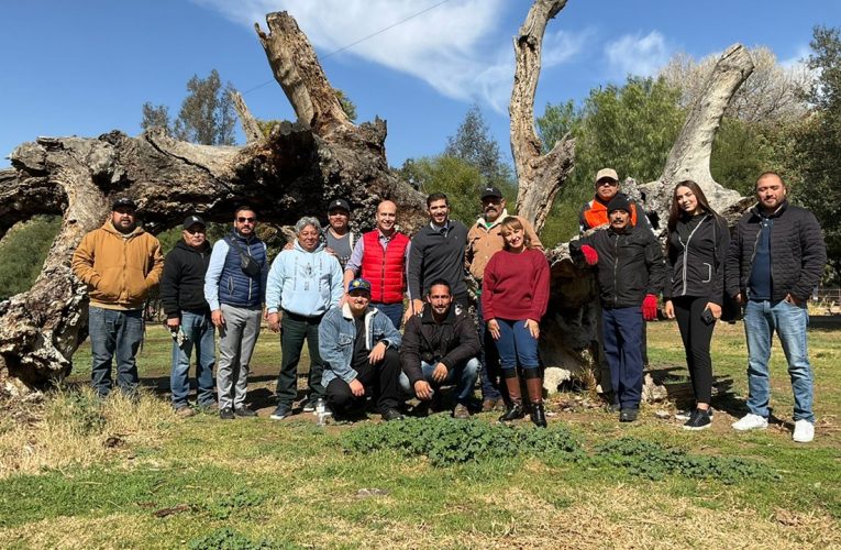 Fortalecen cuidado de los árboles en parques de Tecate