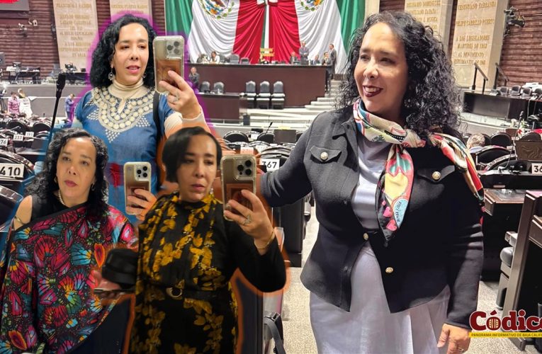 Una moneda conmemorativa: La única propuesta de la diputada federal por Tecate