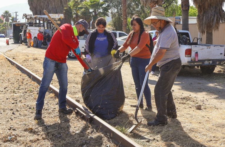 Realizan acciones de limpieza en el bulevar Defensores