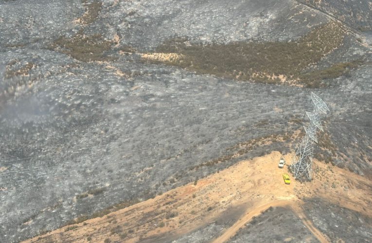 Bajo control incendio forestal en carretera libre Tecate–Mexicali