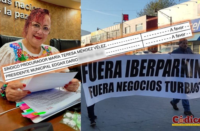 Solicita diputada auditoría a Iberpaking; ella aprobó los cobros