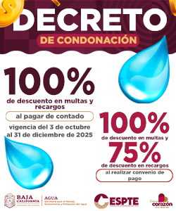 Condonación 100 CESPTe