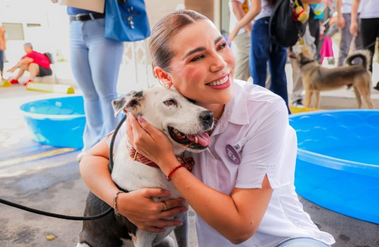 Gobernadora invita a adoptar animales del Santuario Mily