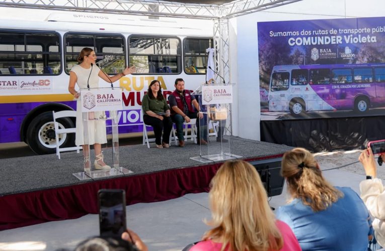 Lanzan transporte Comunder Violeta para mujeres estudiantes