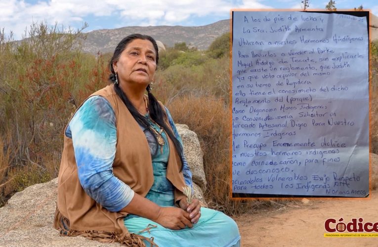 Tecate en Pie de Lucha y Judith Armenta utilizan a indígenas: Norma Meza