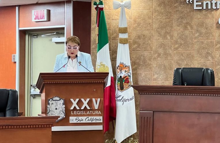 Tere Ruiz presenta exhorto para mejorar movilidad en casetas de peaje en BC