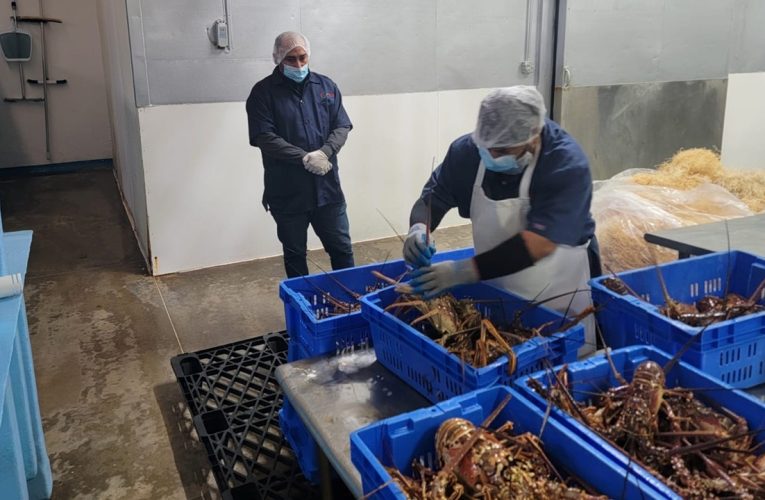 Realizan actividades del programa de Moluscos Bivalvos en BC