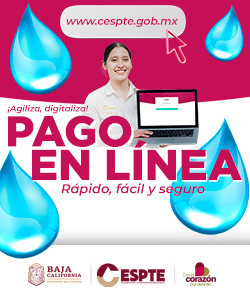 Paga CESPTE en línea